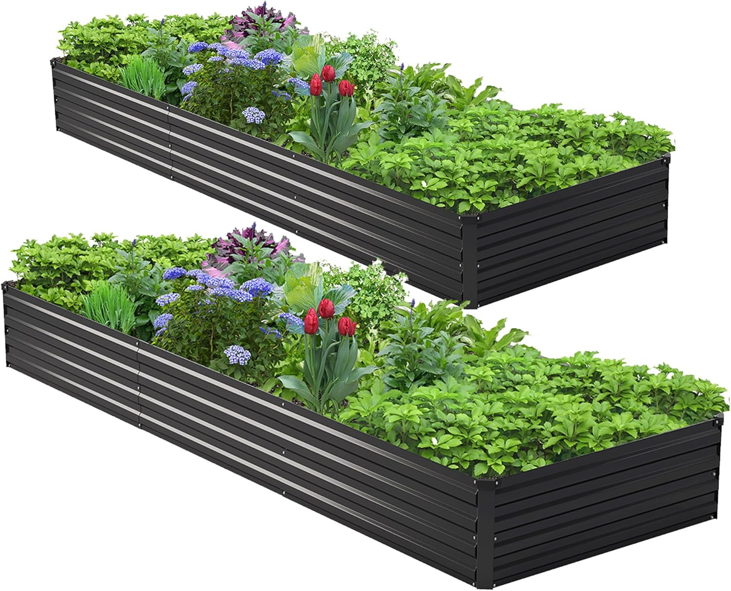 Planter Raised Metal - 2PCS 10x3x1ft Galvanized Raised Garden Bed