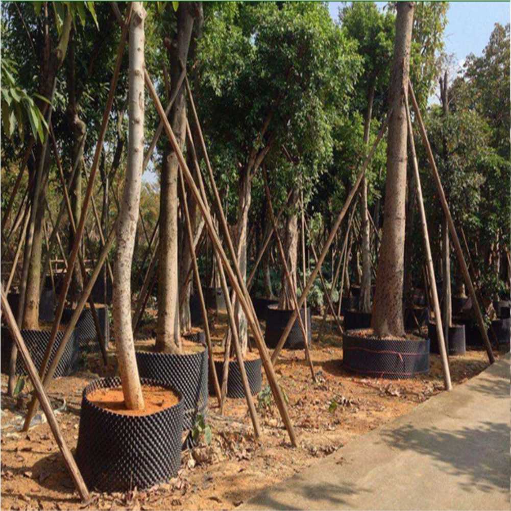 Grow Container Garden Tree Bon - Outdoor Furniture Metal ulasan dan harga
